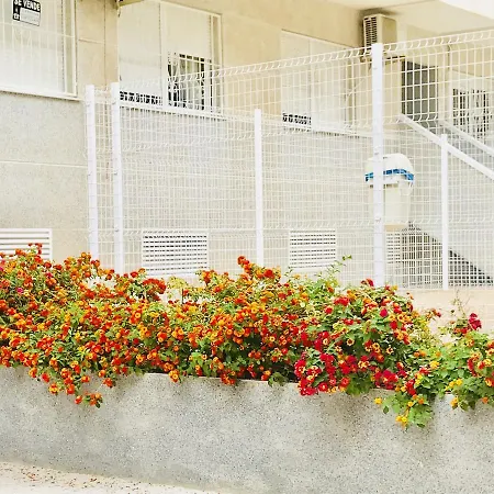 Apartman In Torrevieja
