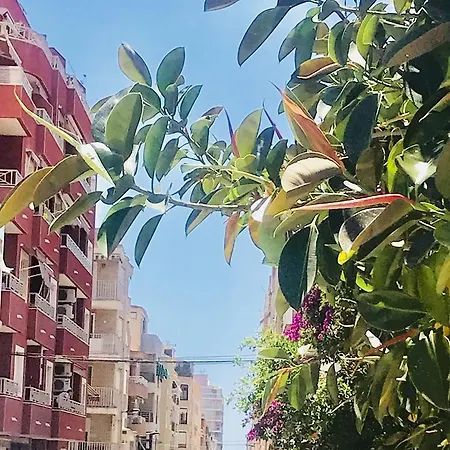 Apartman In