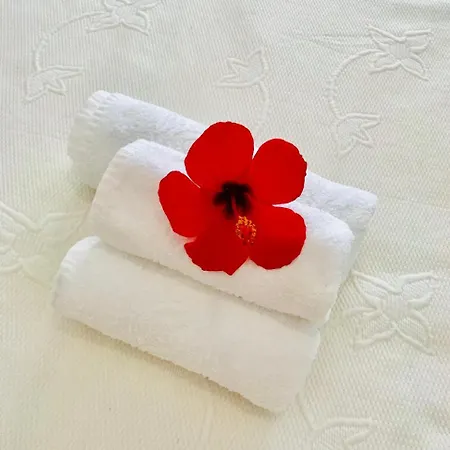 In Apartman